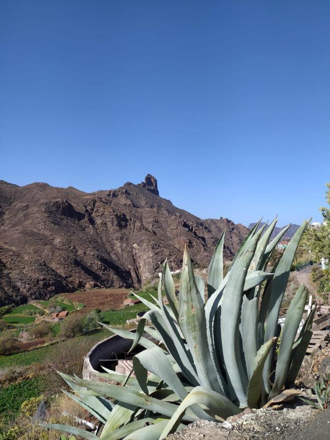 Ecoartejeda Cave House Guest House Bagian luar foto