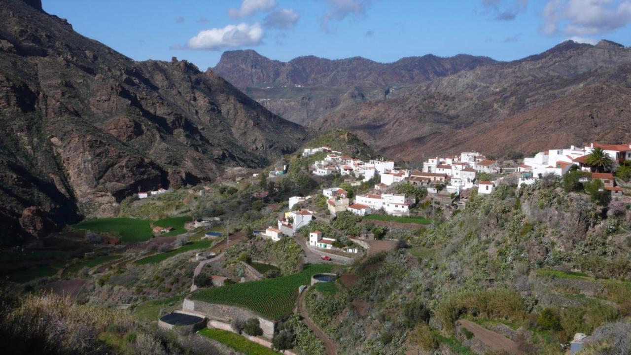 Ecoartejeda Cave House Guest House Bagian luar foto